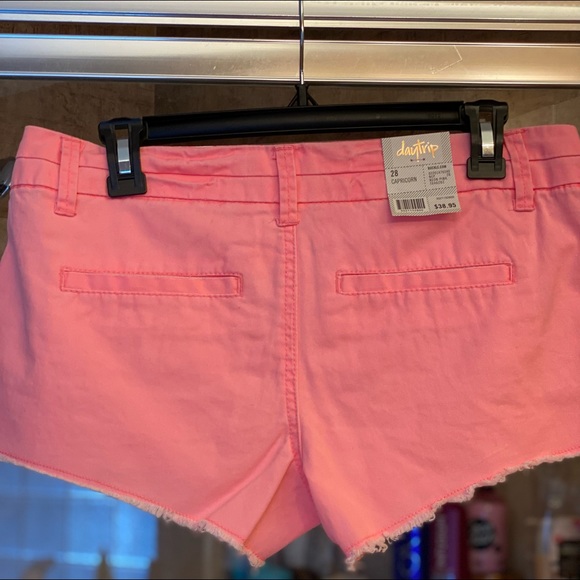 NEW Daytrip Shorts from Buckle - Picture 5 of 10